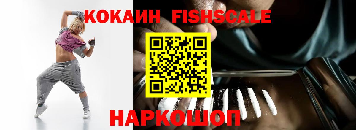 продажа наркотиков  Вход с VPN  КОКАИН FishScale  Борзя  COCAIN Перу 