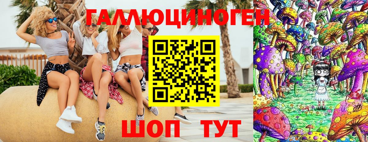 Борзя  Галлюциногенные грибы прущие грибы  Вход с VPN 