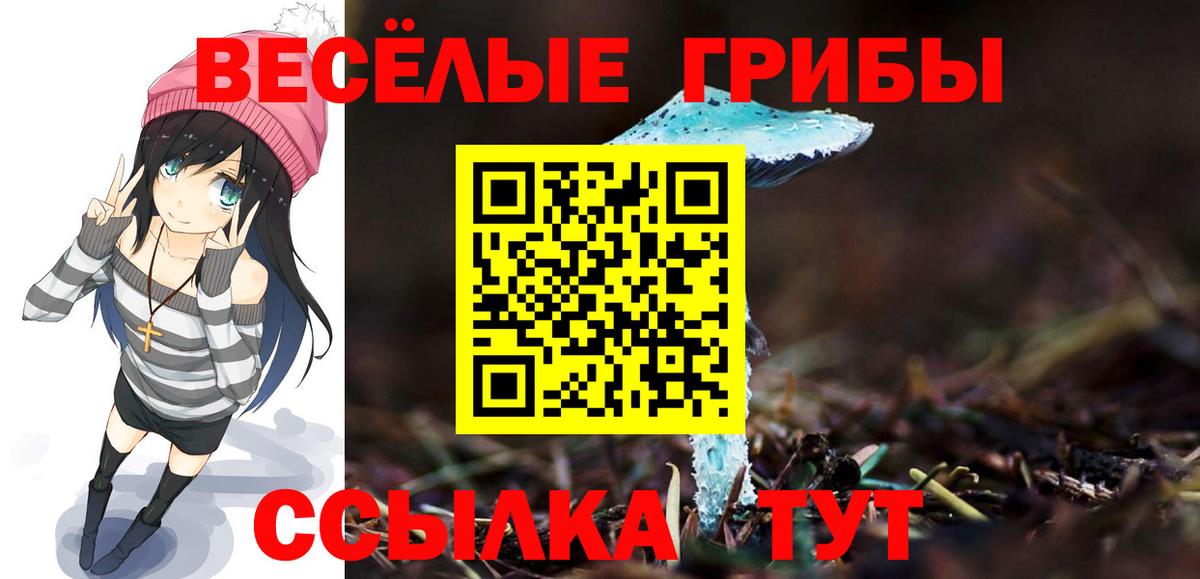 Галлюциногенные грибы Psilocybine cubensis Борзя